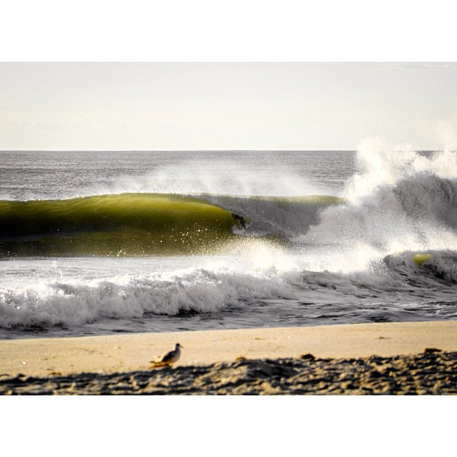 september-22-2014-instagram-surf-photos_06_dancirlin