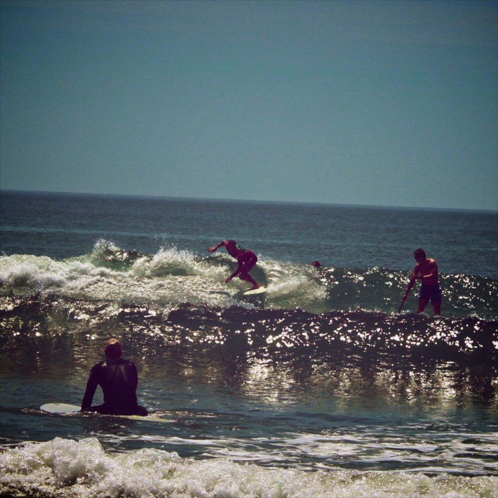 shovel fish from jumper surfboards new york new jersey