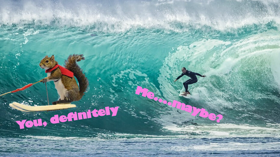 Squirrel Drop In