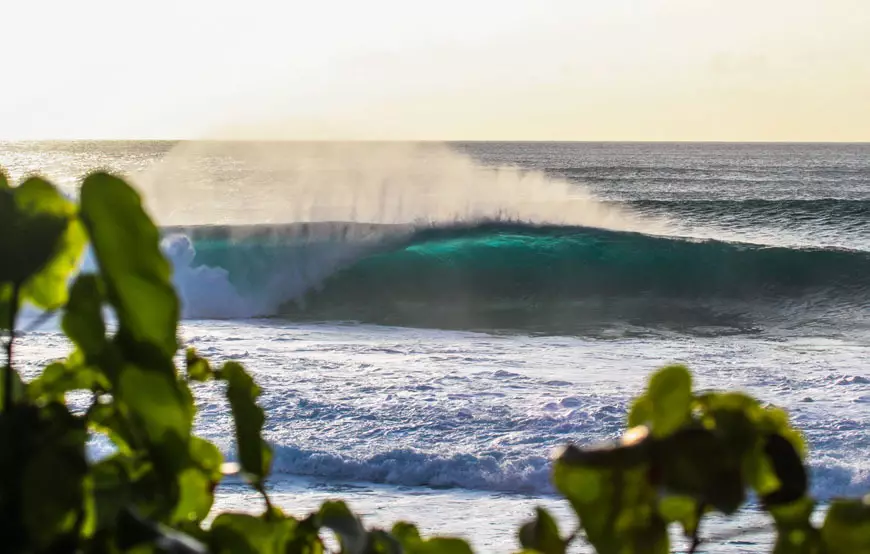 hawaii surfing photos