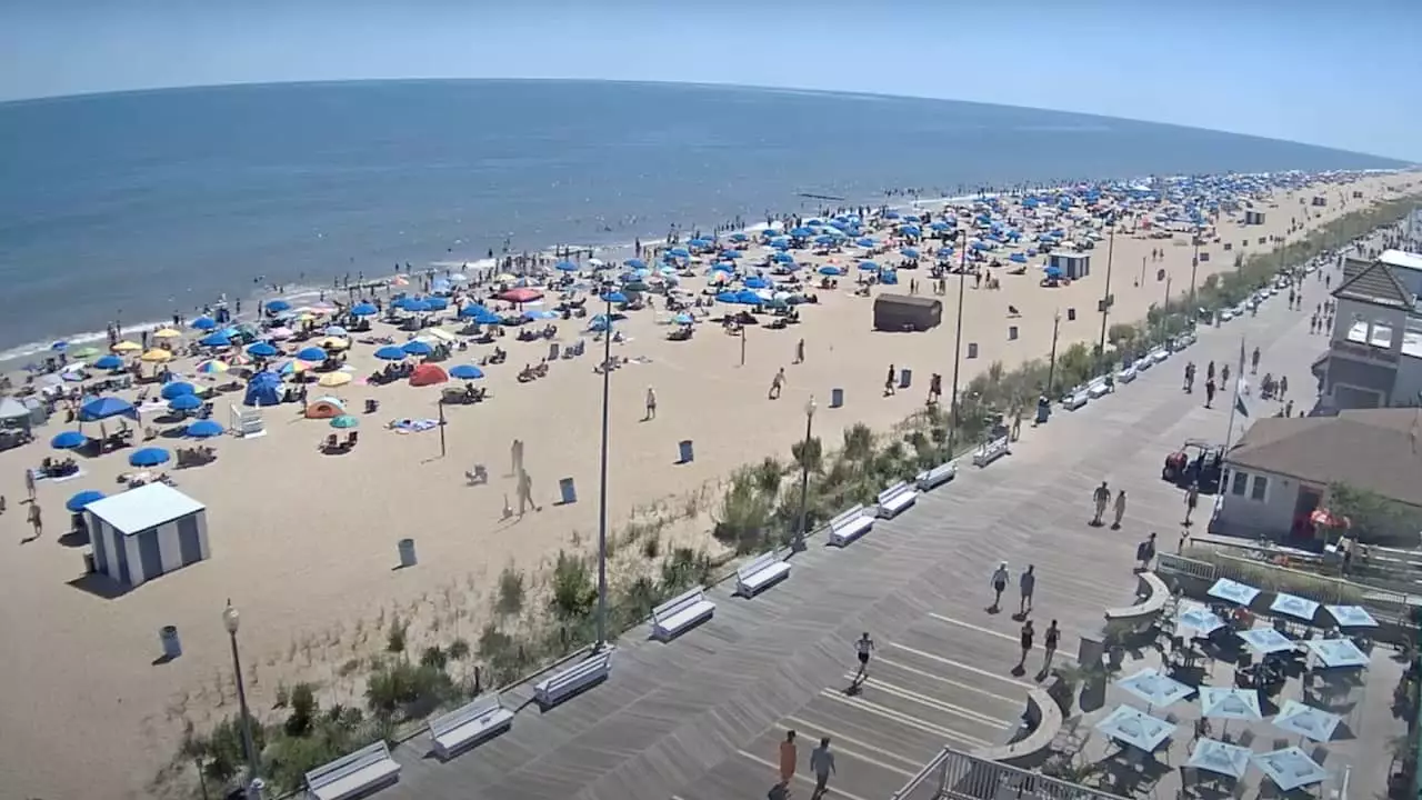 Dewey Beach Web Cam: Your Gateway to Coastal Bliss