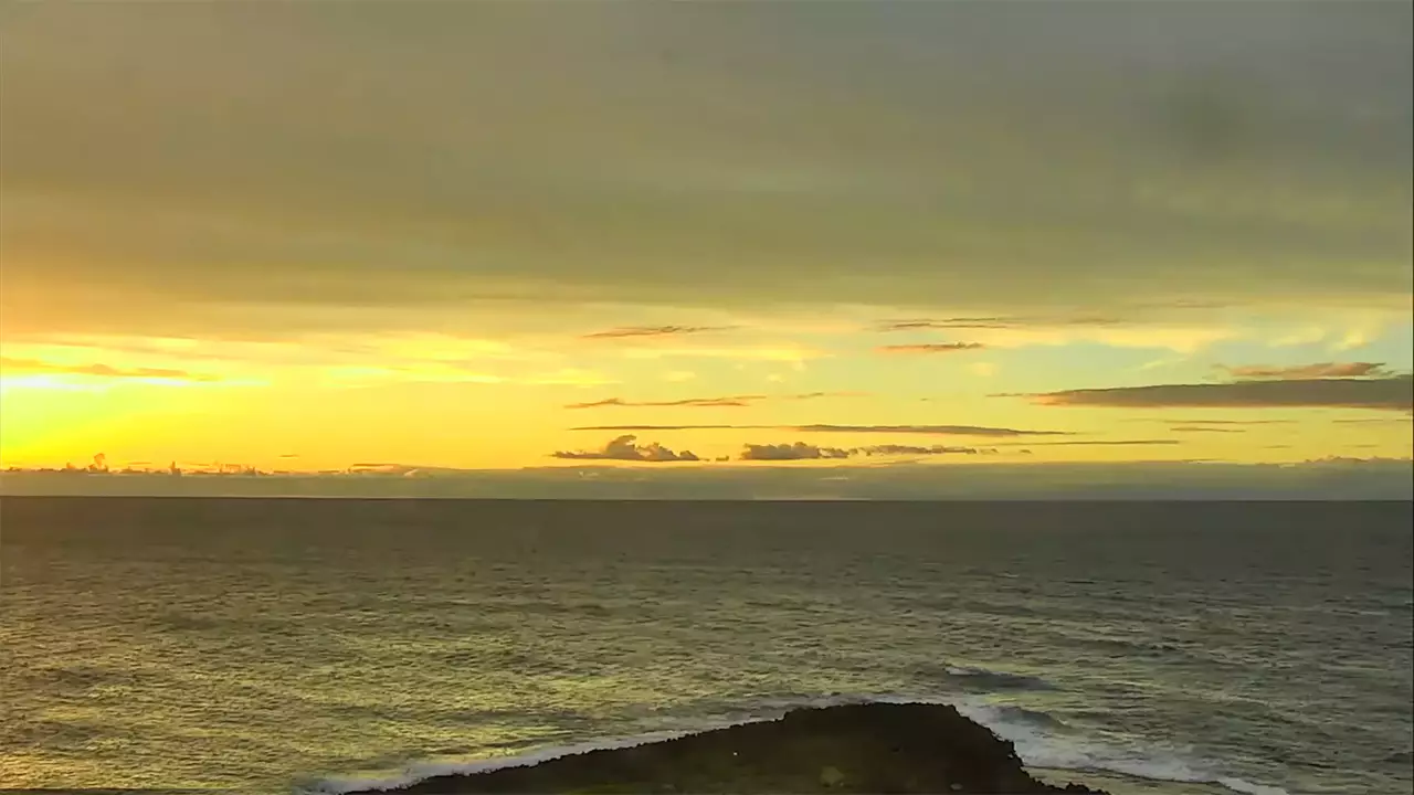 turtle bay surf report