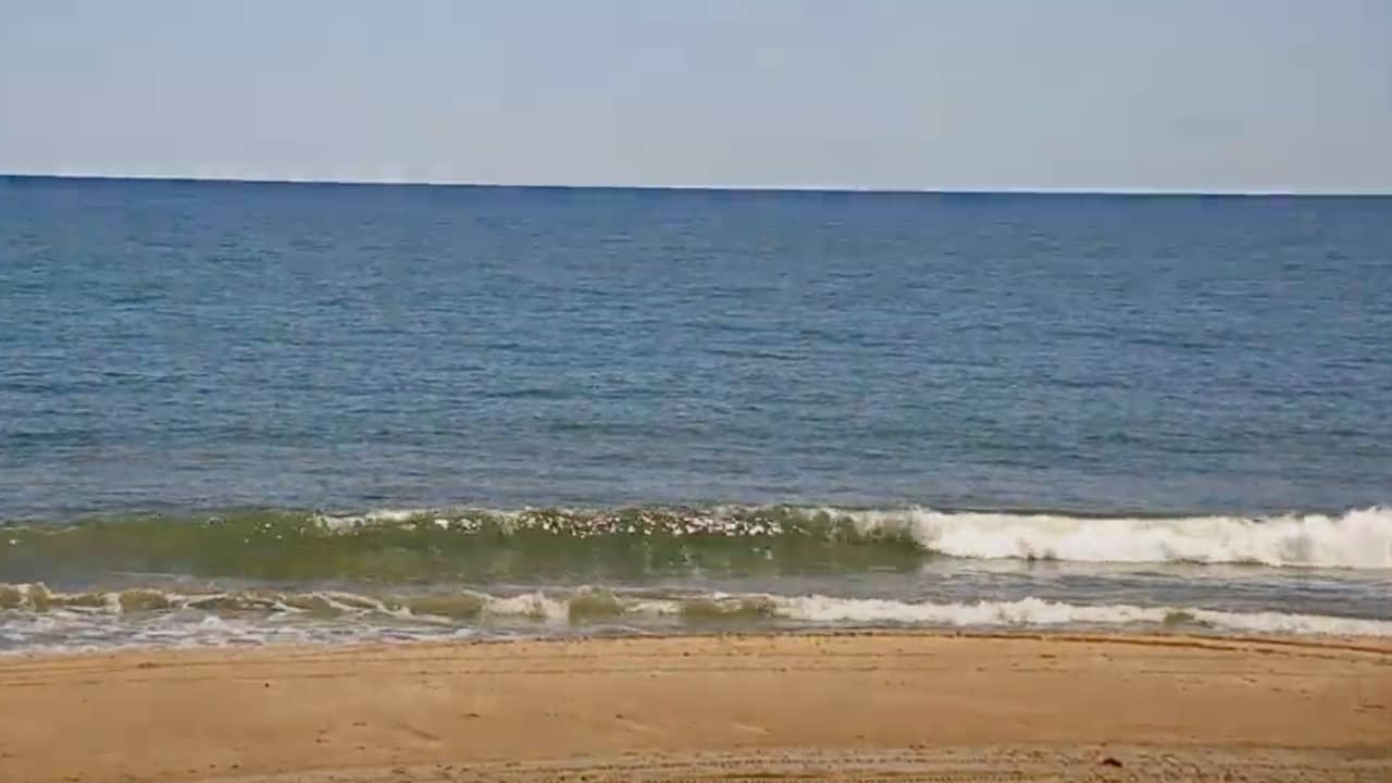 Delaware Beach Cams