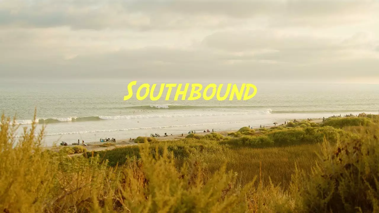 California surf film
