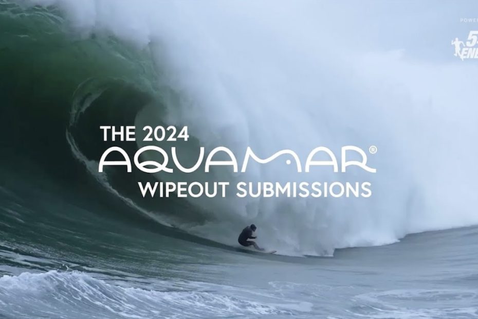 2024 wipeout award