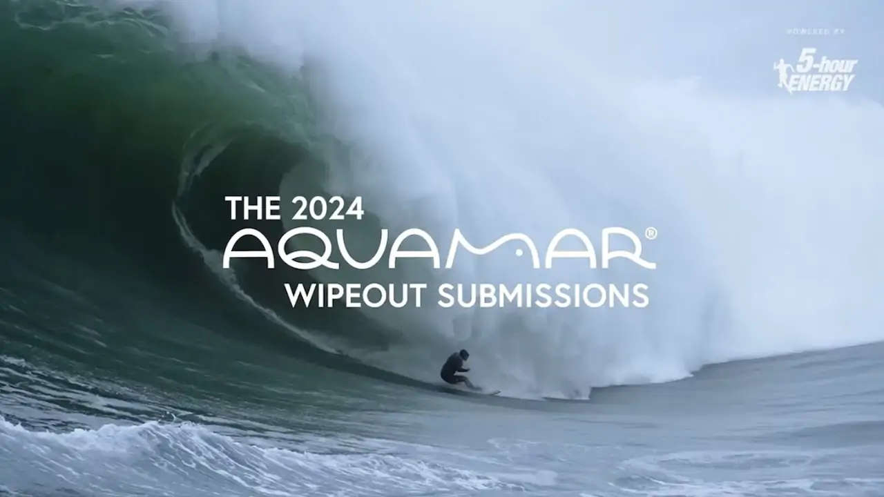 2024 wipeout award