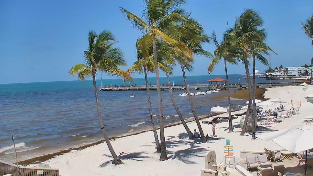 Florida Keys Webcam