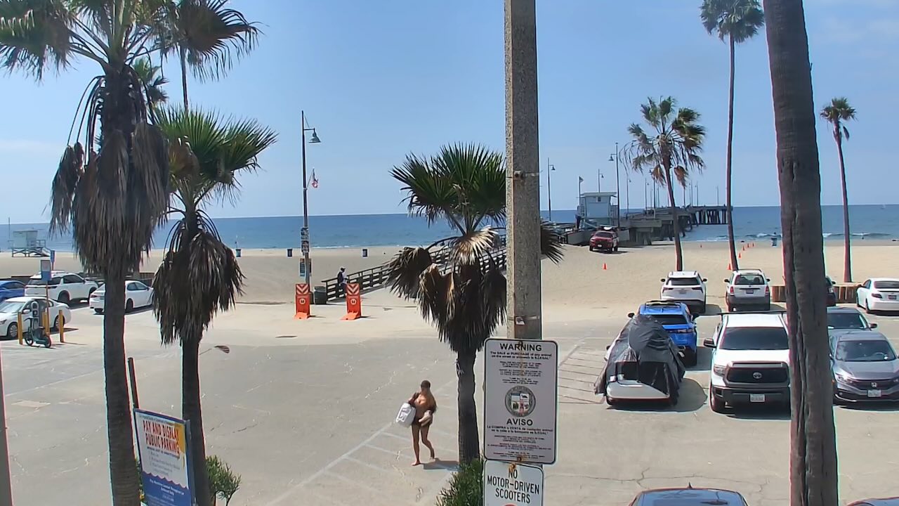 venice beach cam