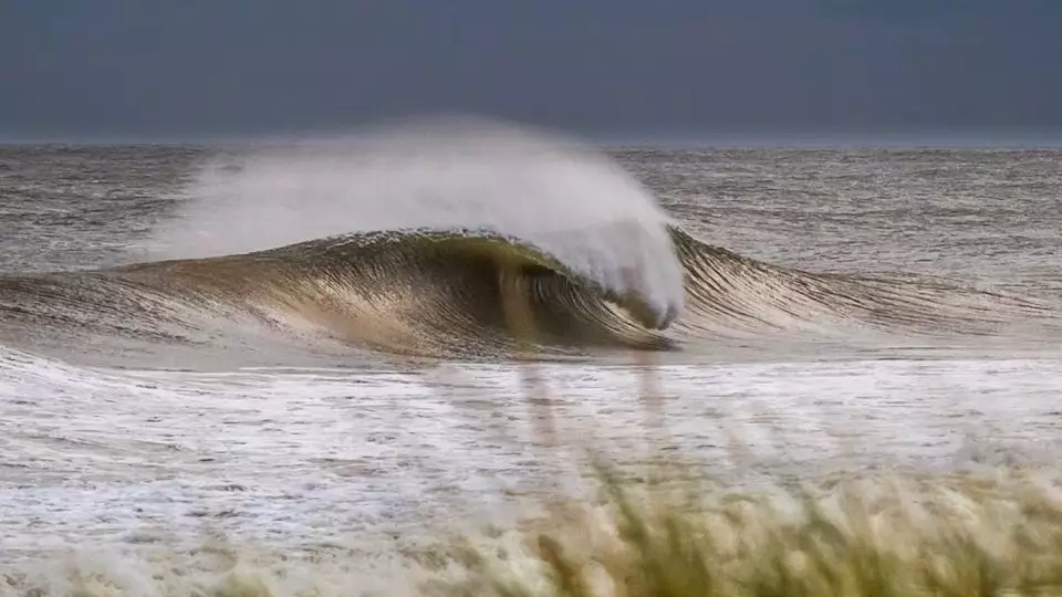 surfing hurricane jose