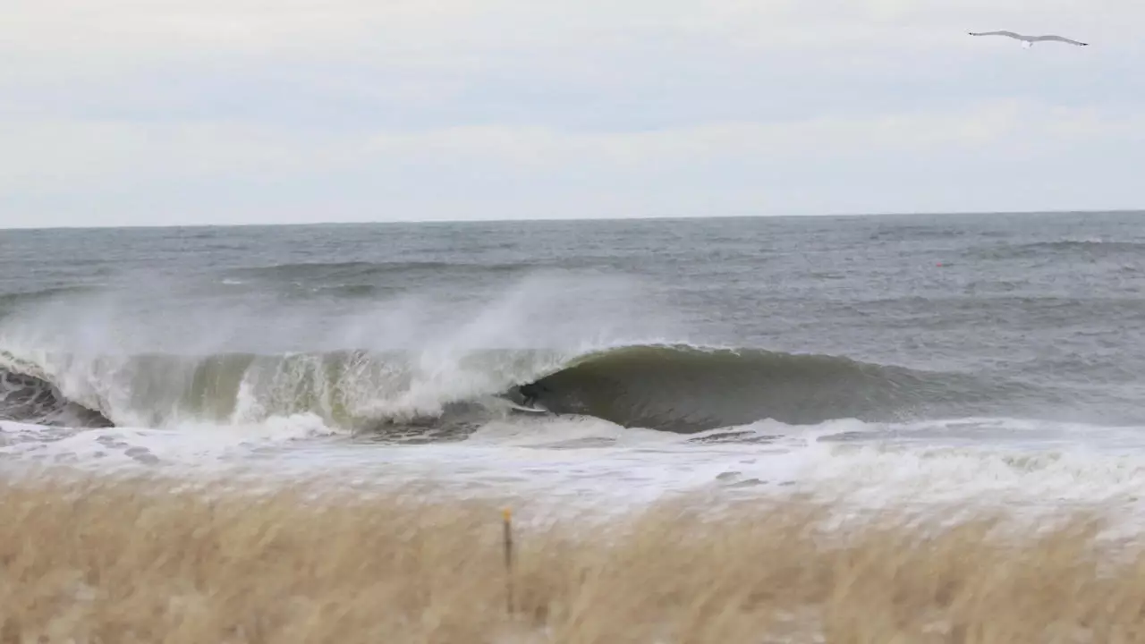 long beach island nj chris nissen