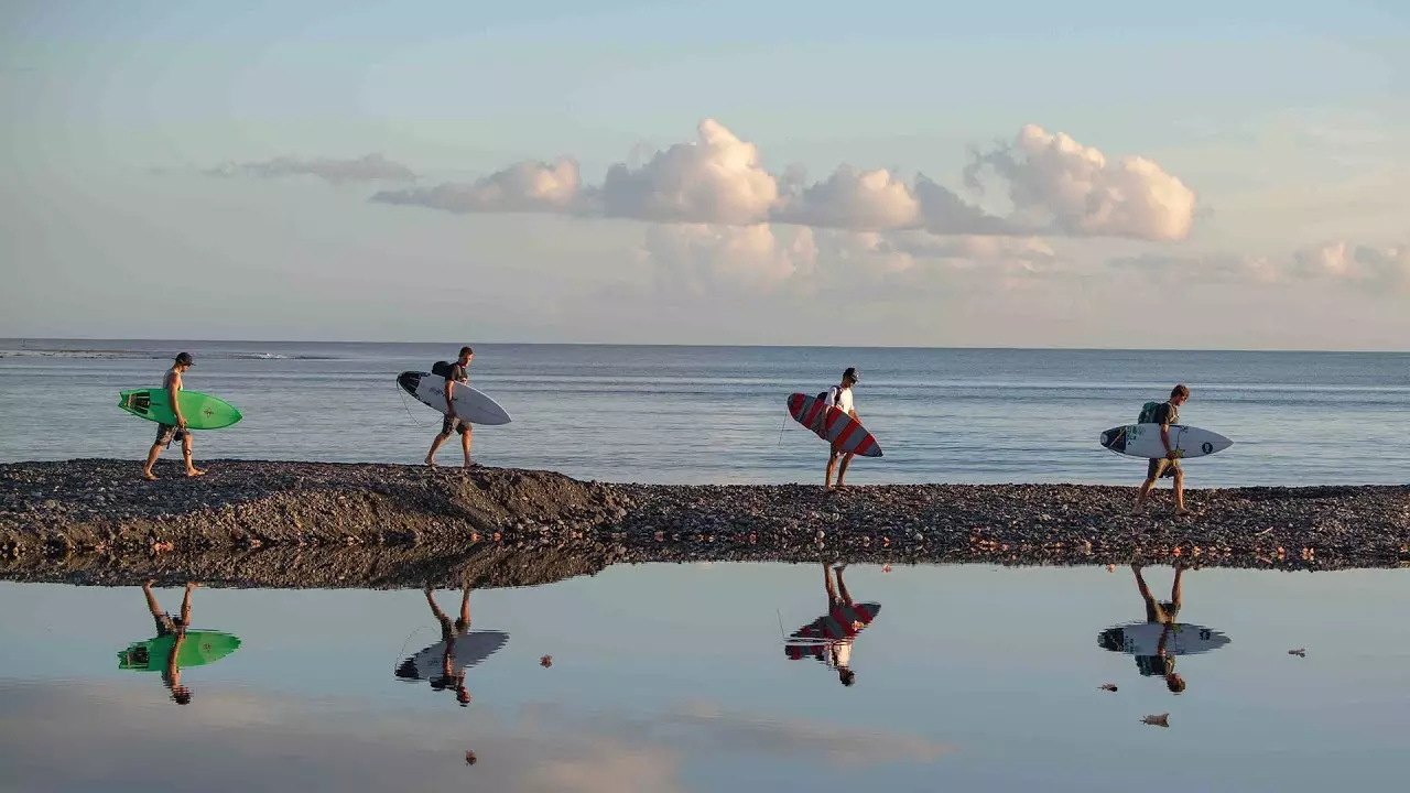 best surf videos may 2019