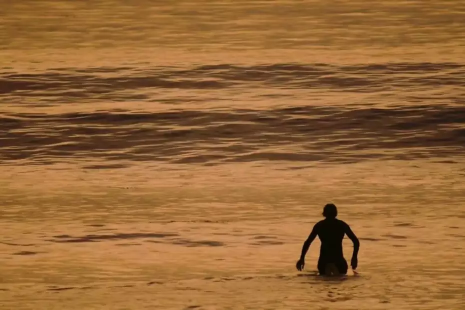 California Surf