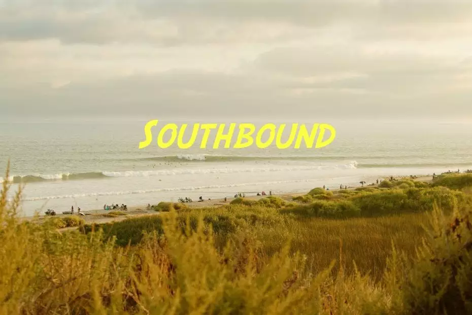 California surf film