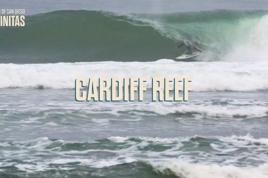 cardiff reef